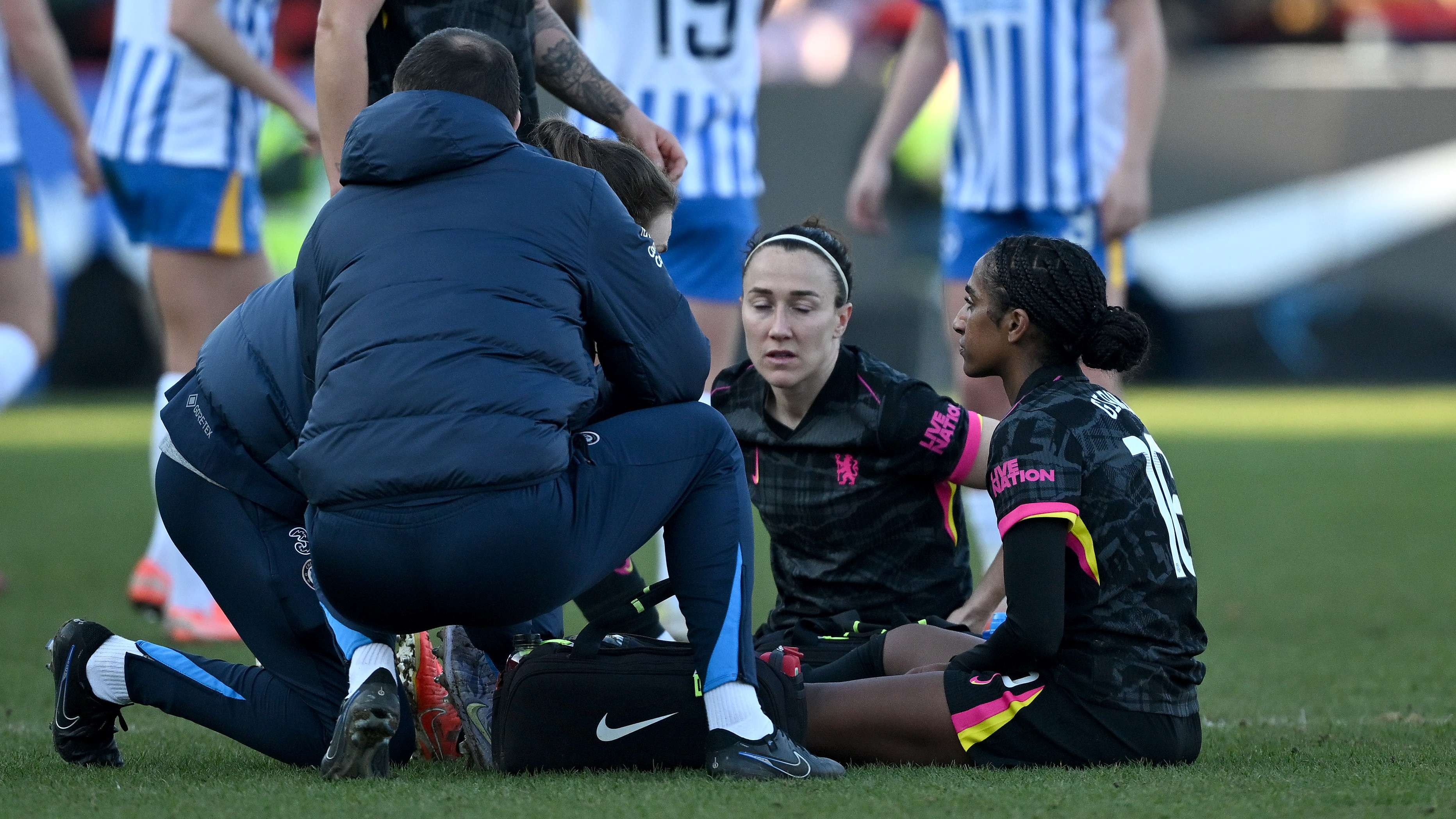 的成功铺平 的成功铺平